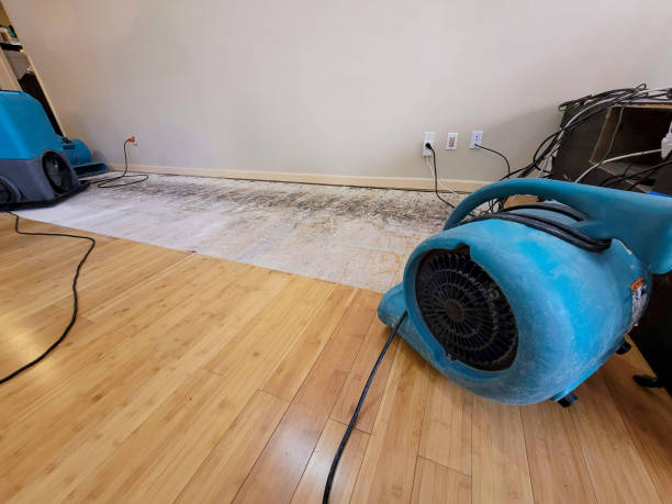 Professional Emergency Water Damage technician working in Silver Lake, WI